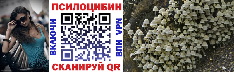 Галлюциногенные грибы Cubensis  Собинка 